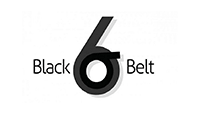 LM Accredited Black Belt Training and Certification Program